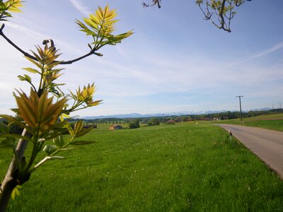 Spring awakening nature road