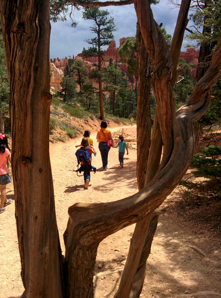 Travel utah park photo