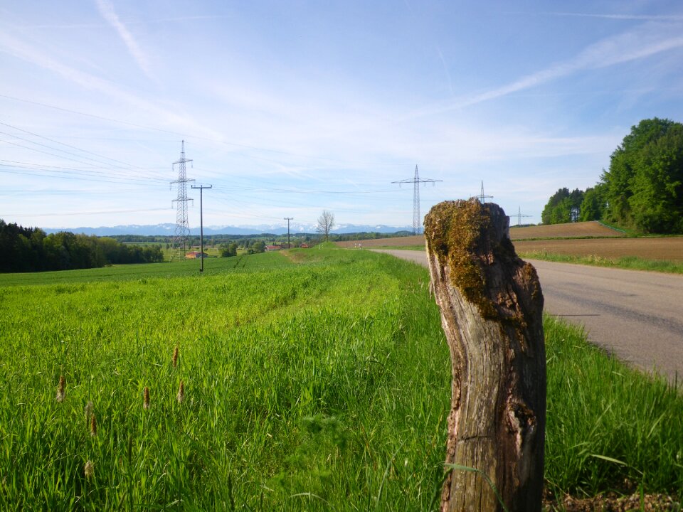 Spring awakening nature road