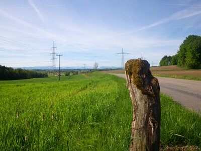 Spring awakening nature road