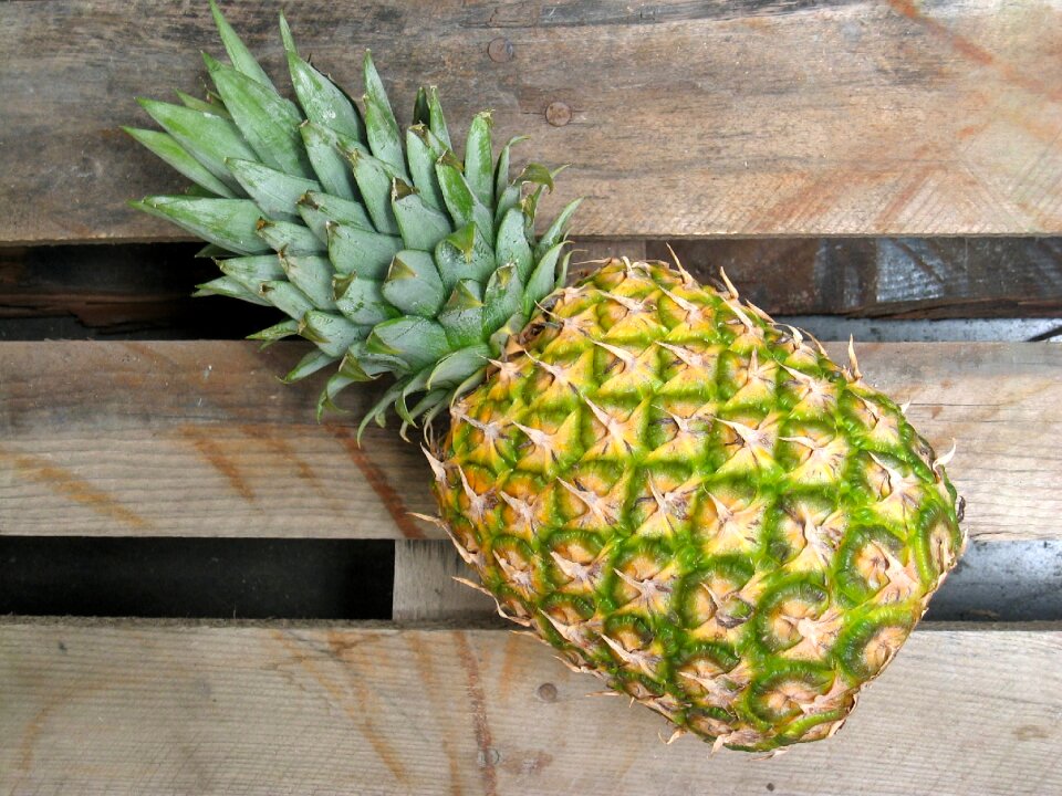 Pineapple juice fruit