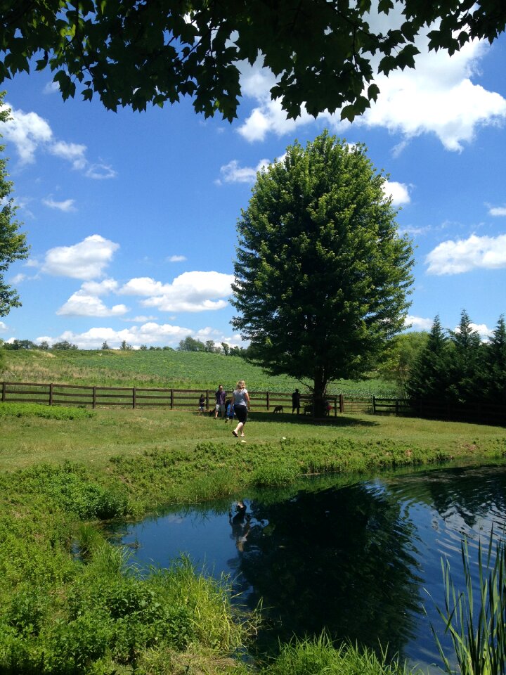 Agriculture nature