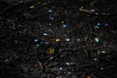 Confetti color ground