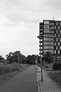 Road black white environment