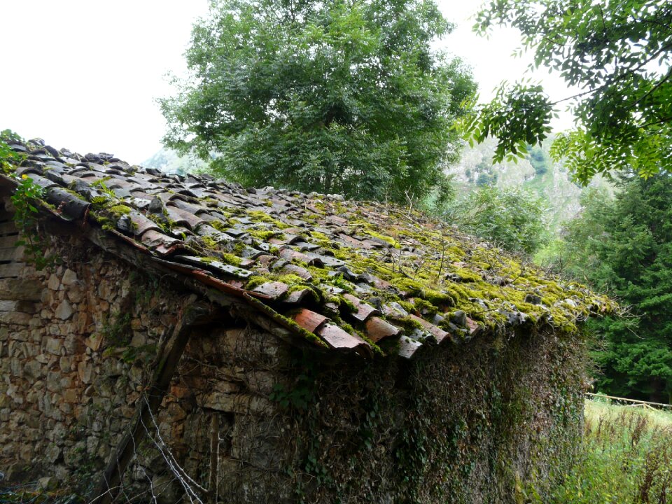 Landscape roof nature
