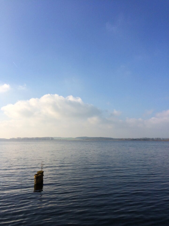 See water