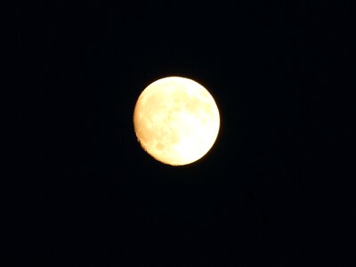 Night moonlight mystical photo