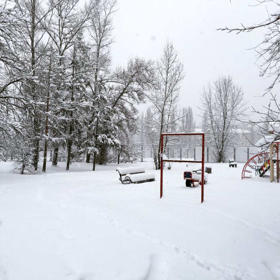 Cold frost snowflakes