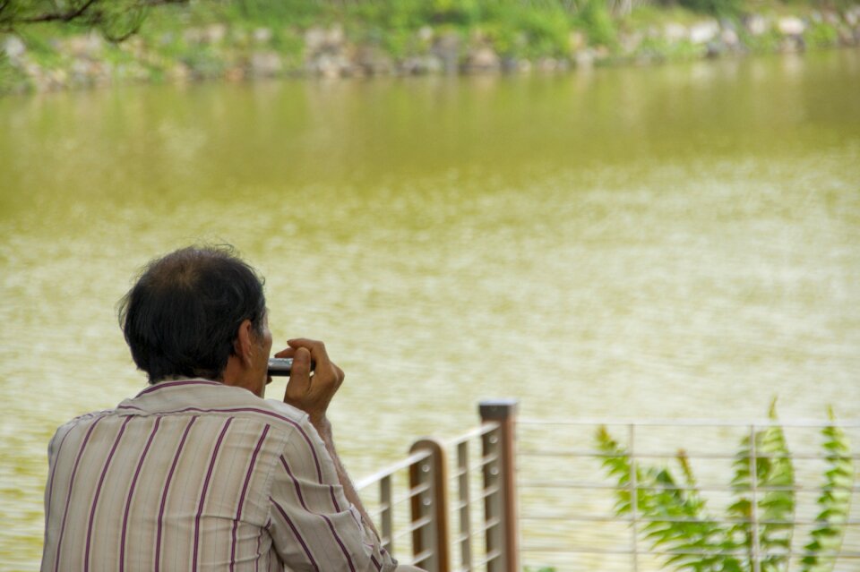 Memory harmonica performers