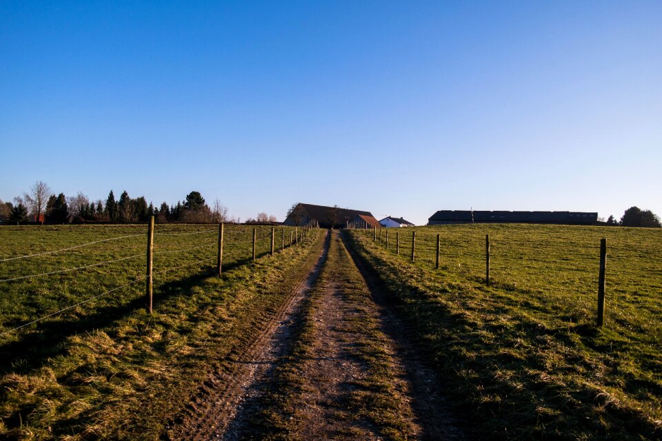 Increase in slope meadow