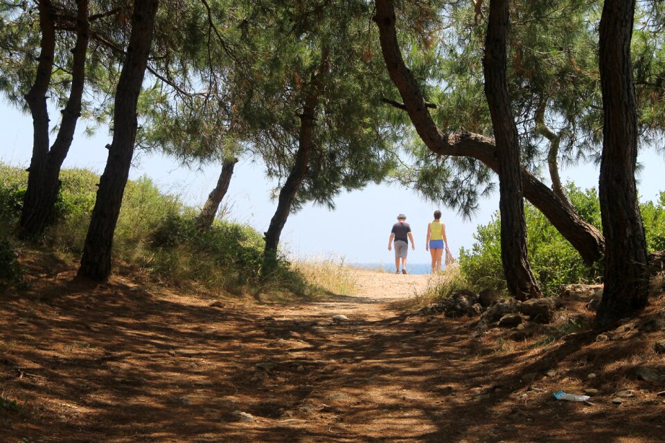 Nature summer vacation
