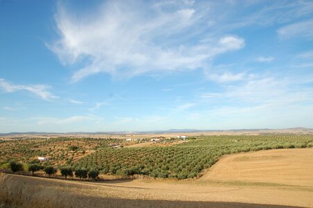 Landscape sunny sky photo