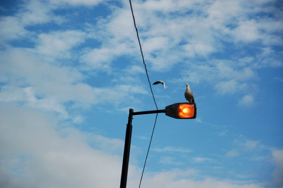 Streetlamp sky clouds