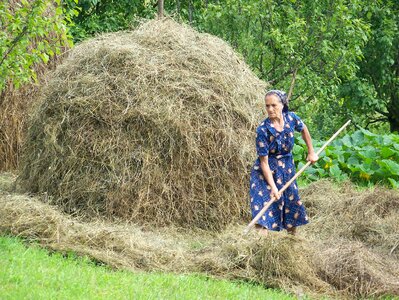 Fork woman hay