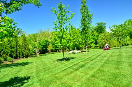 Grass cutting lawn mowing green care