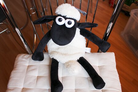 Sheep teddy bear cute