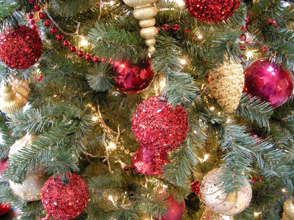 Christmas red