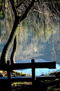 Nature switzerland ticino