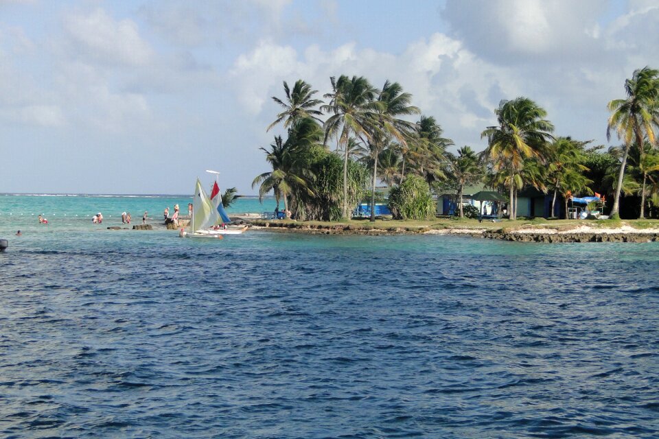 Beach palm tree sanandres photo