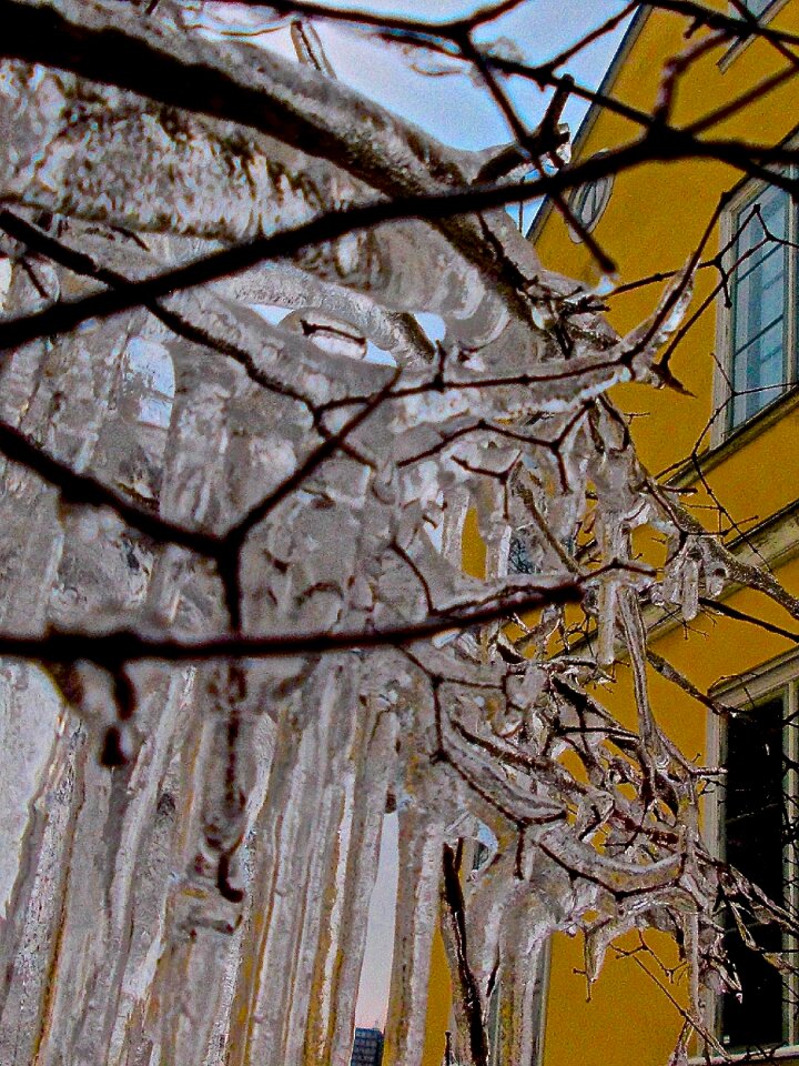 Frozen cold winter