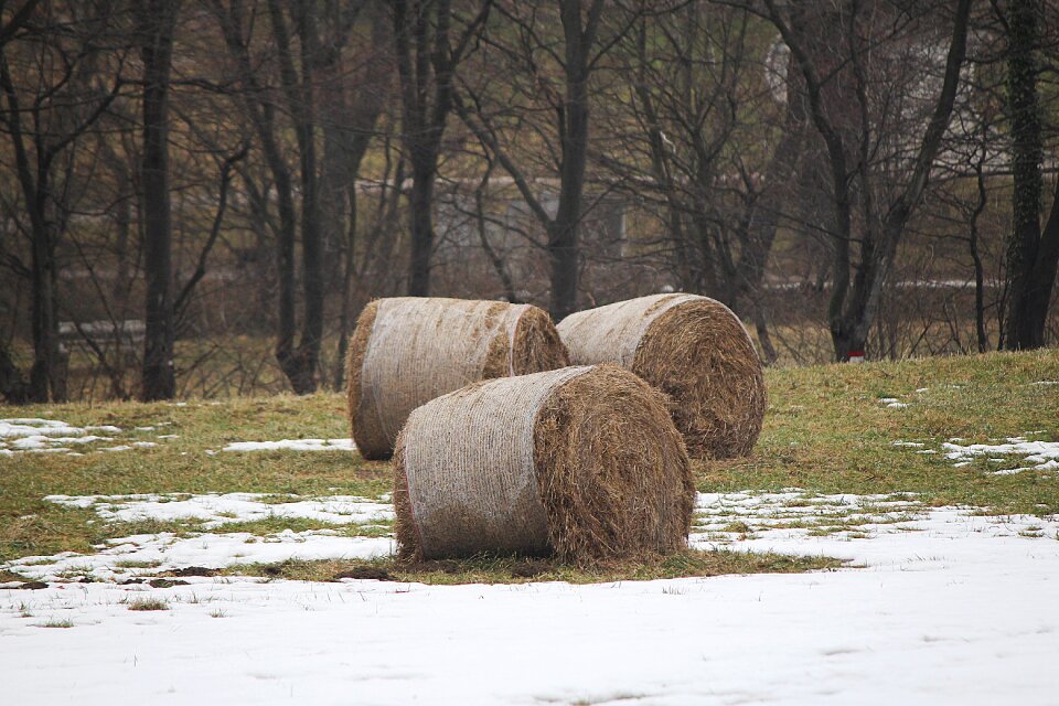 Straw bales round bales straw role