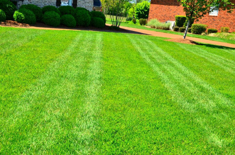 Grass cutting lawn mowing green care