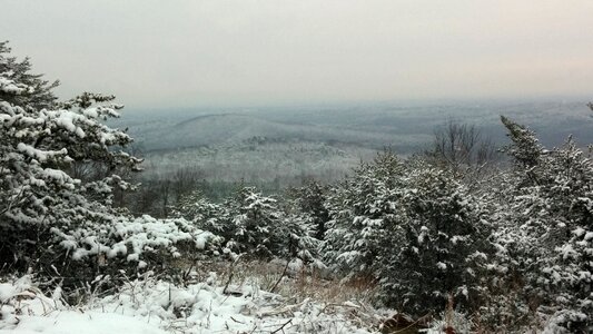 Landscape cold season