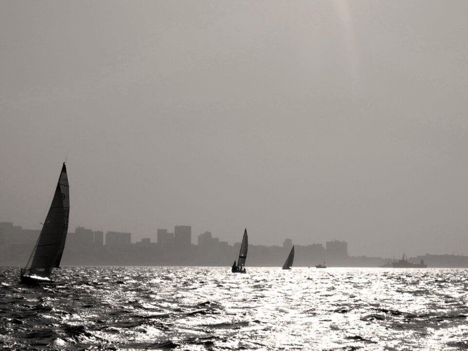 Boat sail boat browse