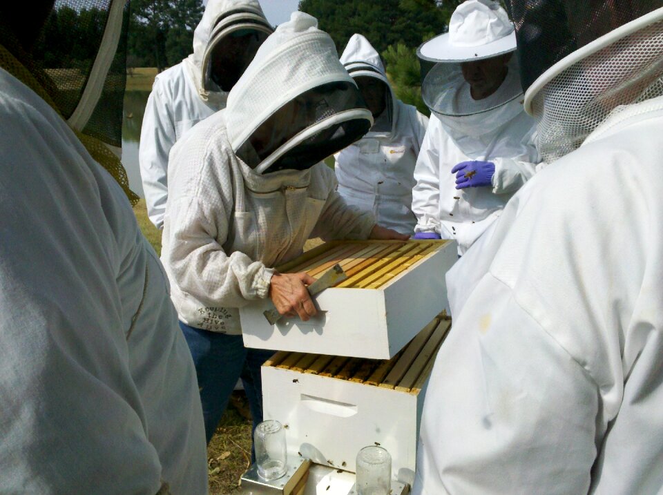 Beekeeper honey bee