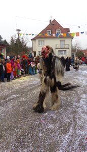 Masquerade panel strassenfasnet
