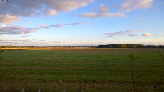 Nature landscape green