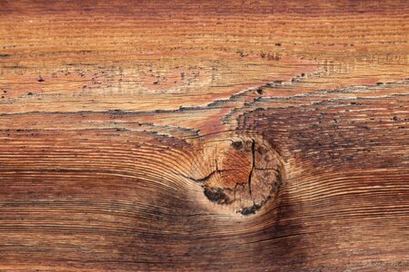 Plank structure backdrop