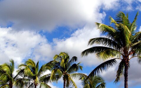 Tropical paradise clouds photo