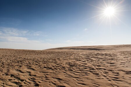 Dunes dry sun