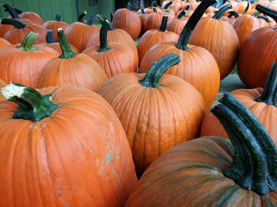Autumn holiday season
