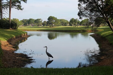 Golf course florida destination