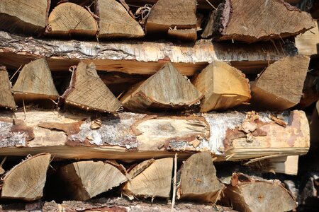Firewood stacked up storage photo