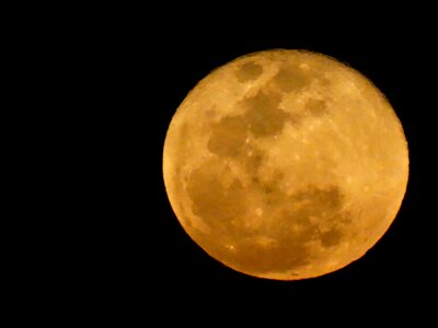 Rising moon yellow moon moonlight photo