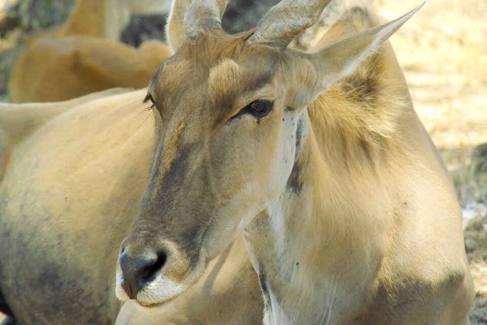 Beautiful close up nature