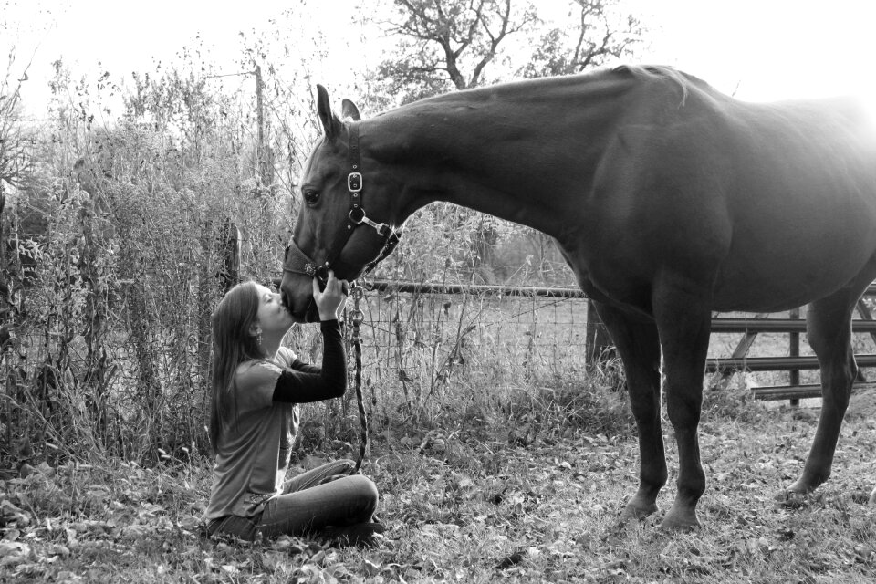 Animals outdoors farm