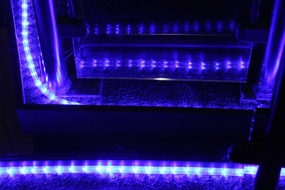 Light space blue room