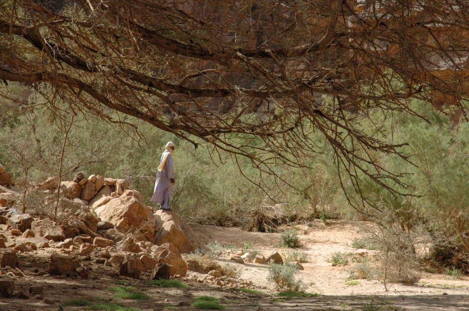 Algeria touareg desert