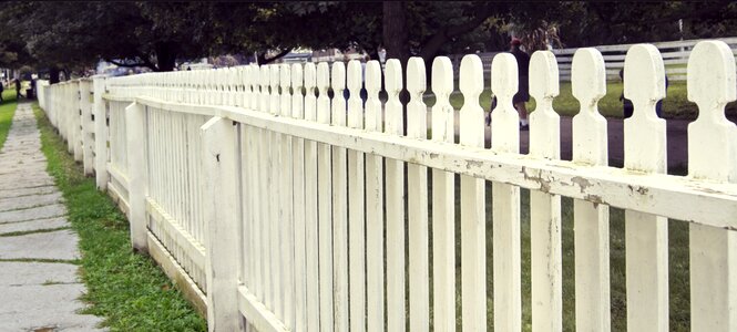 Wooden design timber