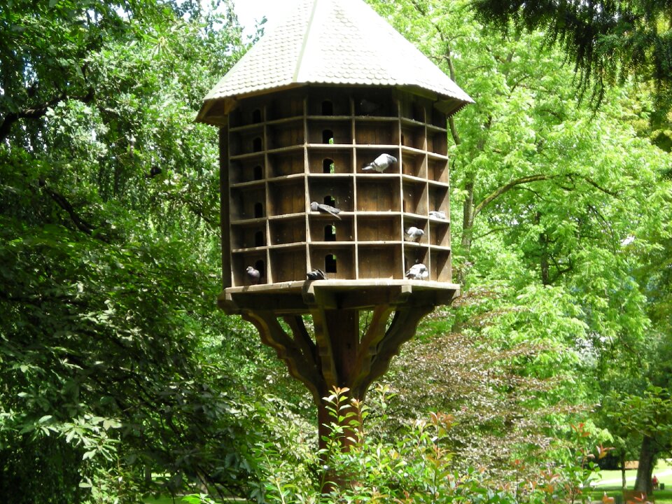 Parks dovecote baden baden