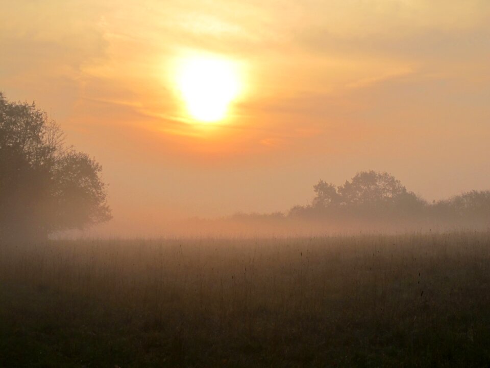 Dawn fog haze