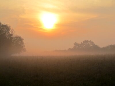 Dawn fog haze