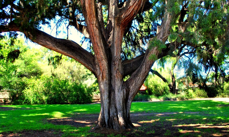 Organic park