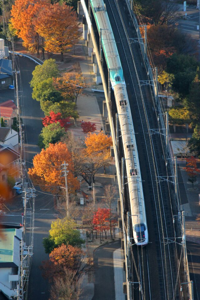 Autumnal leaves 烏ヶ崎 mount shinobu