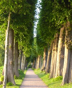 Avenue glücksburg away