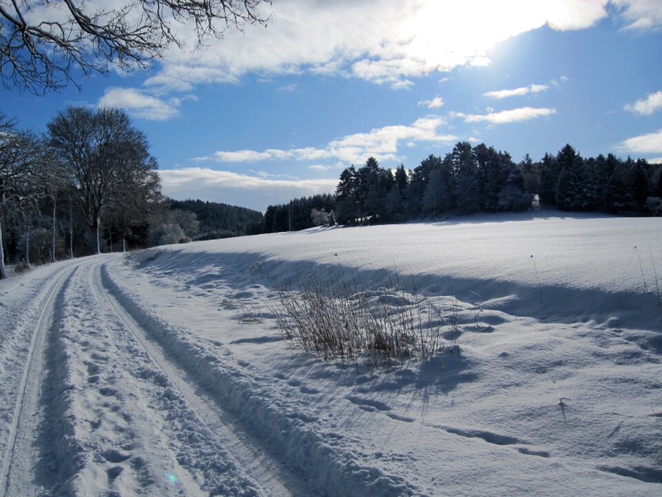 Winter snow away photo